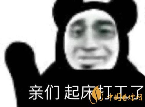 早安打工人是什么梗？早安打工人梗語錄大全