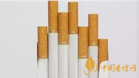 香煙和雪茄哪個(gè)好抽？香煙和雪茄八大區(qū)別介紹2020