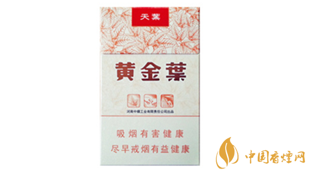 黃金葉天葉真假怎樣區(qū)分？黃金葉天葉真假識別