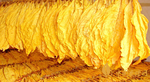 混合煙和烤煙有什么區(qū)別 混合煙和烤煙哪個(gè)危害更大