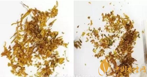 冬蟲夏草（和潤）真假鑒別，春節(jié)防止被騙